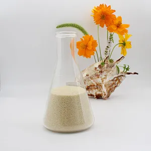 Food Grade Bovine Beef Gelatin Halal Gelatin for Food Industry 220-280 Bloom